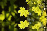 © joda - stock.adobe.com