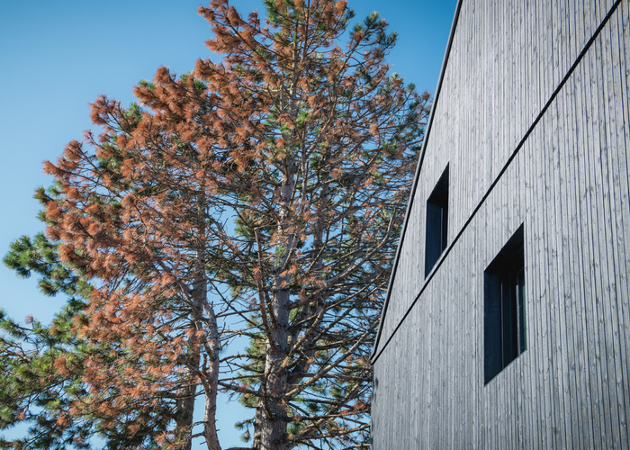 © Lotaa Architektur