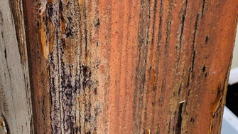 An einigen Stellen war das Holz schon stark verwittert.  | © Maler Spohn GmbH