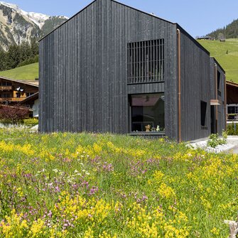 Schlicht und elegant, ein Statement für sich: Haus im Holzgau von Unisono, beschichtet mit Pullex 3in1 von ADLER.  | © Unisono / Mario Webhofer