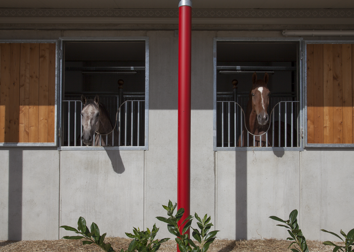 © PH. DONATELLA SIMONETTI