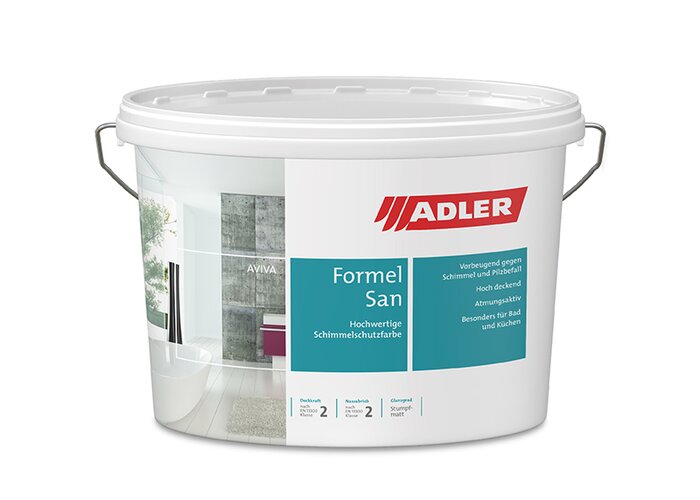 Schimmel von der Wand entfernen und erfolgreich vorbeugen